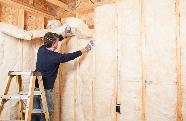 Best Basement Insulation  in USA